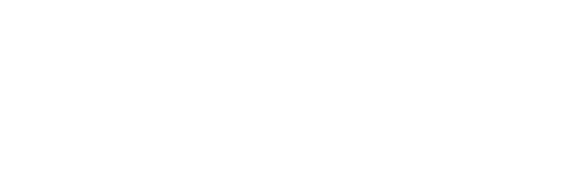 ZIUR Servicios en Consultoría